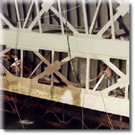 AppPaintMetalBridge