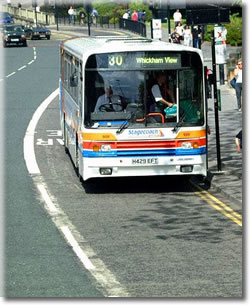 Bus